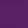 thumbnail image 4 of Playera Blusa De Puño Levantado Con Un Pañuelo Dia De La Mujer Color Morado Talla Chica Marca Emil SaEs, 4 of 4