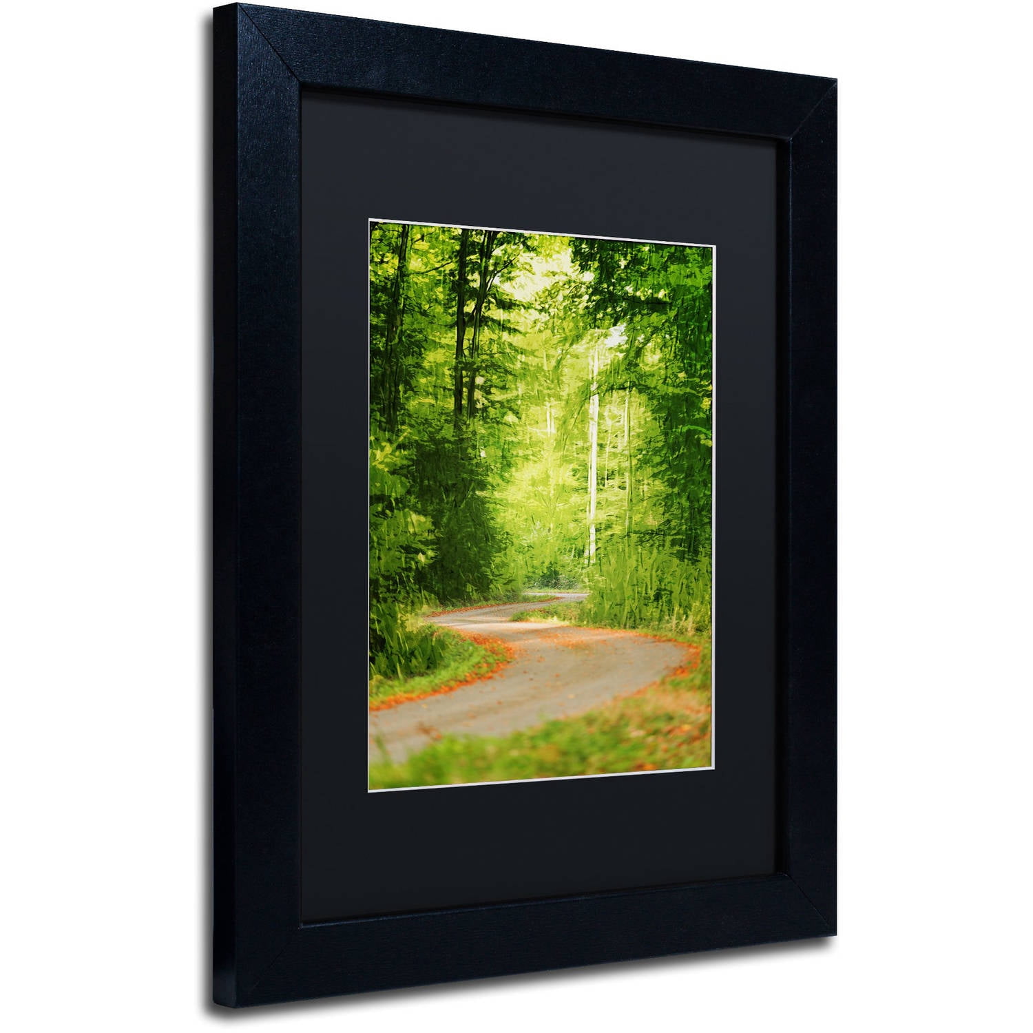 Trademark Fine Art "S Road" Canvas Art by Philippe Sainte-Laudy Black Matte, Black Frame