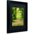 thumbnail image 2 of Trademark Fine Art "S Road" Canvas Art by Philippe Sainte-Laudy Black Matte, Black Frame, 2 of 4
