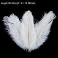 thumbnail image 4 of 1~50pack 30-35cm Large Ostrich Feathers Plume Craft Wedding Party Decorations, 4 of 5
