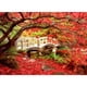 thumbnail image 1 of Pintura Diamante Taladro (DE1732) Completo DIY 5D Redondo Otoño Paisaje Kit Mosaico Imagen 50x70cm Hugtrwg Para estrenar, 1 of 1
