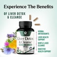 thumbnail image 5 of Liver Cleanse Detox & Repair - Milk Thistle Supplement for Digestion & Immune Health - Ginger Root, Choline & Dandelion Root - Herbal Liver Support with Silymarin, Beetroot & Artichoke - 120 Capsules, 5 of 9