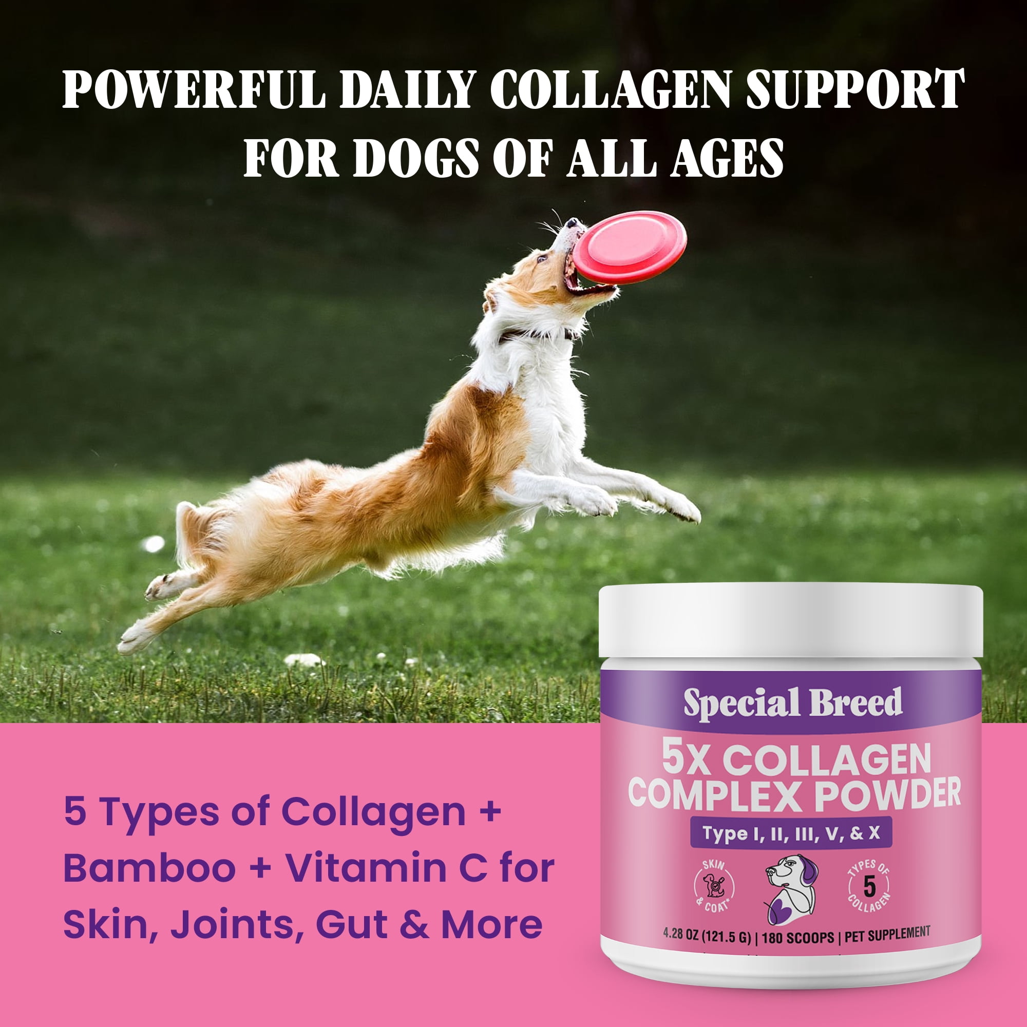 Premium 5X Collagen Powder for Dogs - Types I, II, III, V & X - Skin, Join, Gut & Coat Support - Collagen Powder with Bamboo & Vitamin C, 180 Scoops 4.28 oz