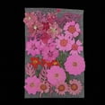 thumbnail image 2 of segolike 36/37/38/39/42Pc Pressed Dried Flowers DIY Scrapbook Rose, 2 of 9