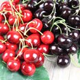 thumbnail image 3 of 30PCS Artificial Cherry Creative Decorative Lifelike Artificial Fruit Fake Fruit, 3 of 9