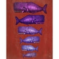 thumbnail image 3 of Fab Funky 15x18 Black Modern Framed Museum Art Print Titled - Whale Family Purple on Red, 3 of 5