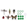 thumbnail image 2 of lionlar 6 Pieces Mini Plastic Insect Animal Figures with Magnifying Glass Pedestal And, 2 of 9
