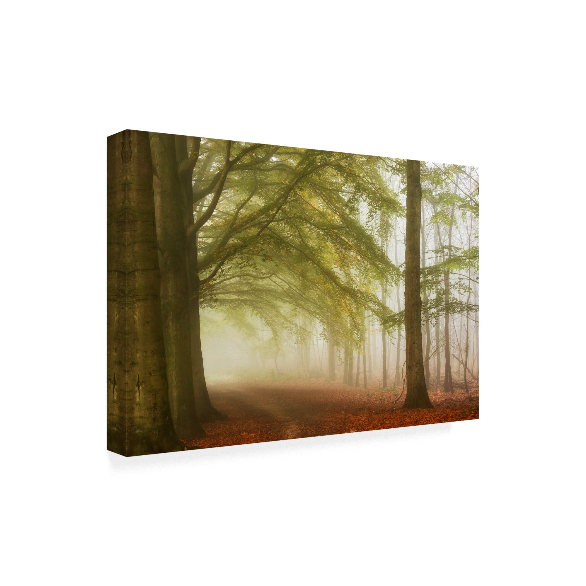 misty foggy road winter landscape 8.5x11 Original Fine Art Photographic Print 
