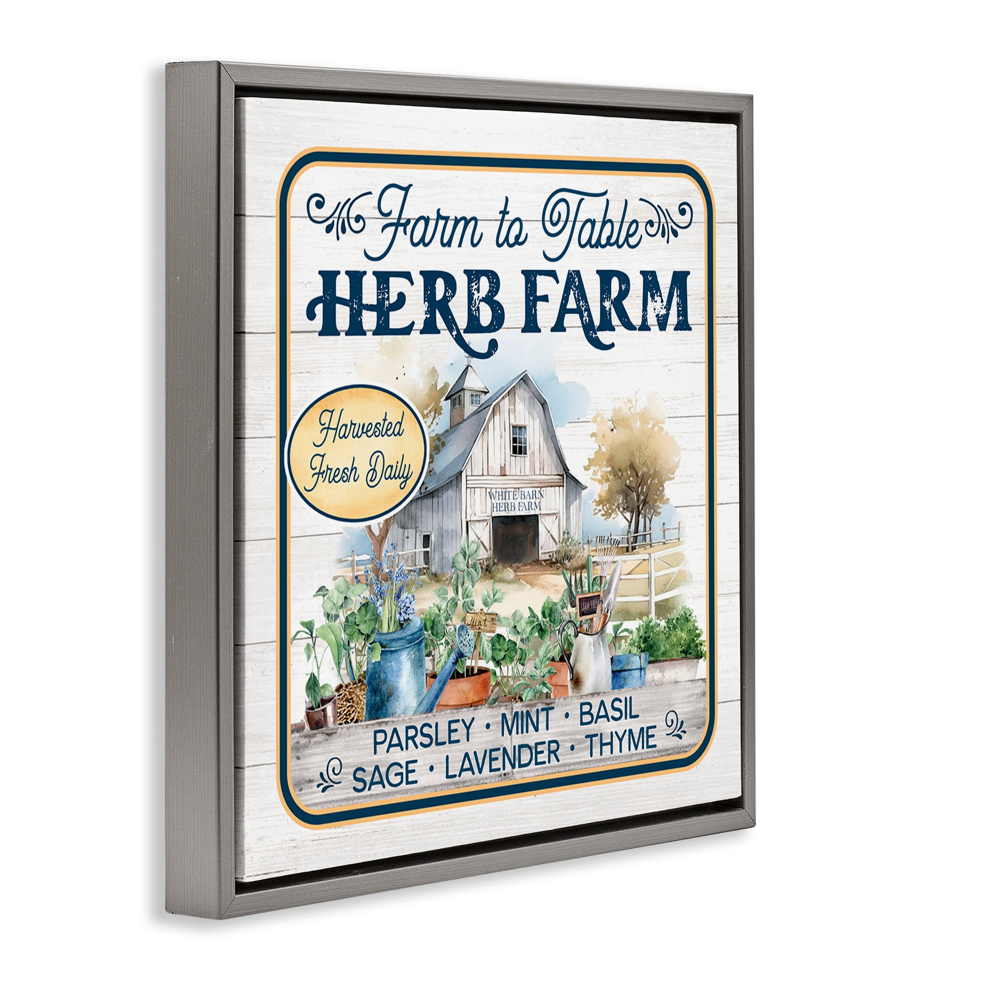 Stupell Industries Fresh Daily Herb Farm Text & Numbers Painting Gray Floater Framed Canvas Art Print Wall Art, 25 x 25