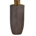 thumbnail image 2 of 74.25 in. Banana Tree Faux Decor with Burlap Kit, 2 of 2