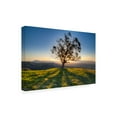 thumbnail image 2 of Chris Moyer 'Tree Shadows' Outdoor Canvas 30x47, 2 of 5
