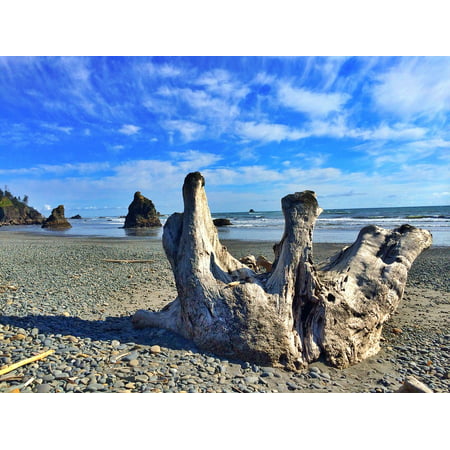 Laminated Poster Logs Beach Rocks Washington Blue Tranquil Water