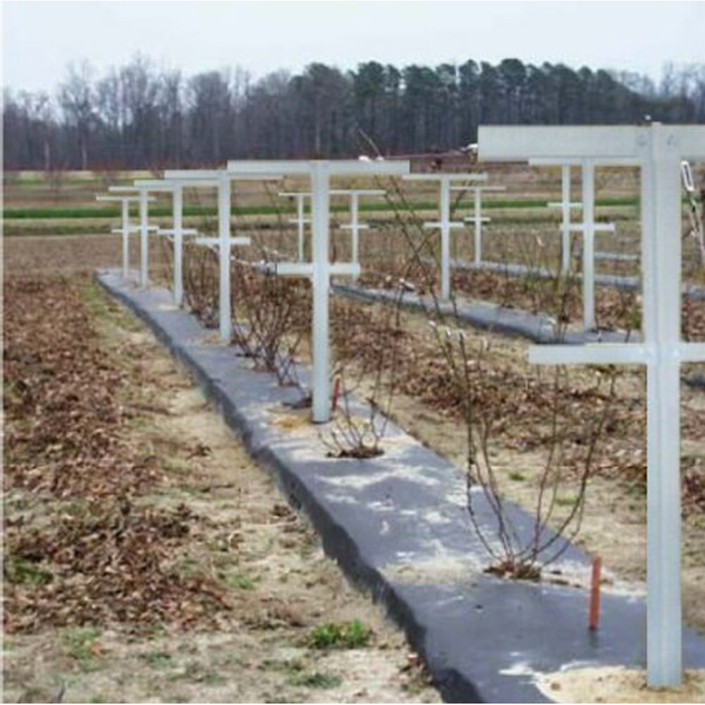 Mr. Garden Raspberry Trellis with Adjustable Arms, Raspberry Stake