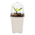 thumbnail image 5 of 10 Uds macetas de iniciación de siembra, maceta cuadrada de plástico esmerilado para vivero con tapa ventilada, jardines hortícolas, 5 of 5