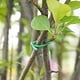 thumbnail image 5 of Bridas para asegurar árboles de jardín, cables, enredaderas y bridas blandas, 5 of 5