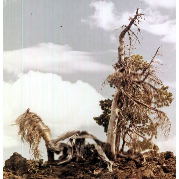 People of the North - Sleep Formations - Music & Performance - Vinyl