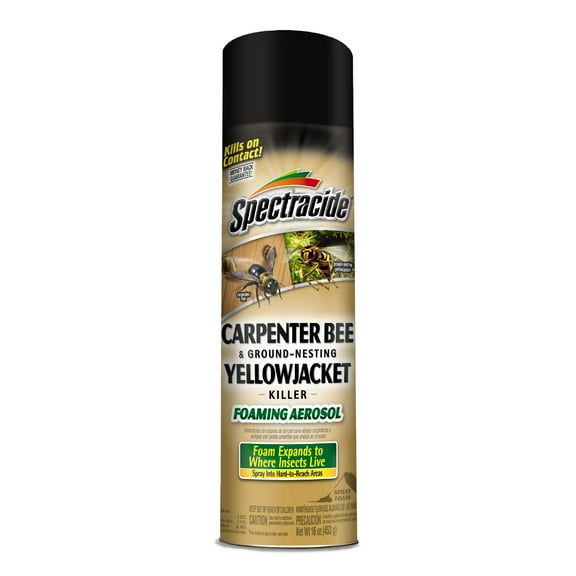 Spectracide Carpenter Bee & Ground-Nesting Yellowjacket Killer Foaming Aerosol, 16-oz
