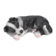 thumbnail image 3 of Estatuas de cachorros esculturas de resina sintética impermeable Border Collie estatua ornamento para jardín al aire libre, 3 of 10