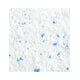 thumbnail image 3 of Pack de 20 Detergentes Roma de 500 Gr Roma 500 Gr, 3 of 3