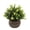G, variant on Safeglitz Artificial Potted Small Plant with Hemispherical Pulp Bonsai, Lifelike Greenery for Tabletop Decoration, No-Watering Design for Easy Home or Office Desk Accents, 1PC