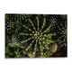 thumbnail image 1 of Cuadro decorativo - Cactus 2, Alvaro Martinz 150x100 Canvas Lab Botánica, Naturaleza, 1 of 2