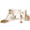 Brown, variant on korimefa Toddler Playset with Slide, Gray, 73.62" x 57.09" x 37.01", 41.8lbs