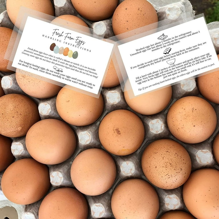 Fresh Farm Eggs Handling Instructions Eggs Design Business Card Egg Stamps  For Fresh Eggs Cards Label For Eggs Cartoons Accessories. - Temu Italy