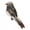 Grey, variant on AYYUFE Bird Figurine Realistic Garden Decoration Artwork Artificial Feathered Foam Bird for Courtyard