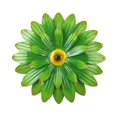 thumbnail image 1 of TAKTUK Decoración de pared, decoración de jardín, arte de pared de flores de metal, decoración de pared de girasol, decoraciones rústicas de estilo bohemio, decoración de exteriores, liquidación, 1 of 3