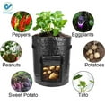 thumbnail image 6 of Deago 2 Pack 7 Gallon Grow Bags, Potato Planter Bags, Planting PE Aeration Pots with Handles and Flap, Garden Bags for Vegetables, Tomatoes, Carrots, Onions (Black), 6 of 9
