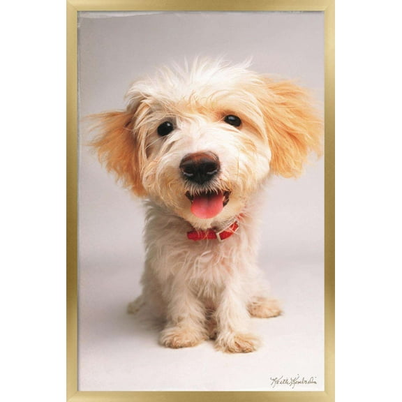 Keith Kimberlin - Puppy Wall Poster, 14.725" x 22.375", Framed