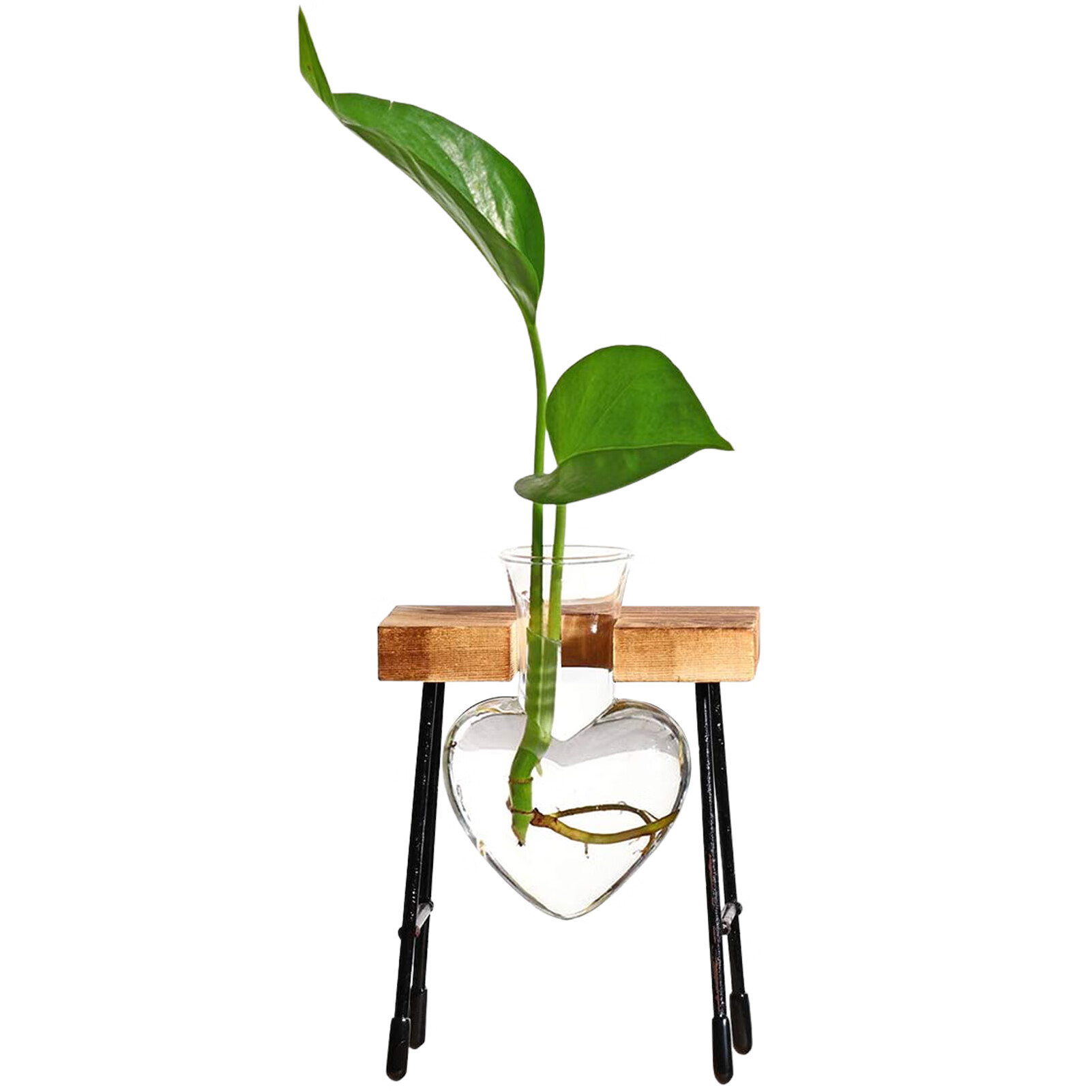 Plant Propagation Stations, Desktop Glass Planter Bulb VaseHeart for