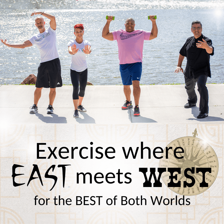 Vitality 4 Life Tai Chi DVD for Beginners Seniors Balance Qi Gong