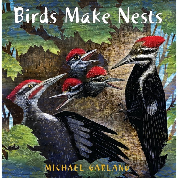 Birds Make Nests, (Paperback)