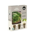 thumbnail image 1 of TASC Seed Plugs- Chive (6/PKG), 1 of 1