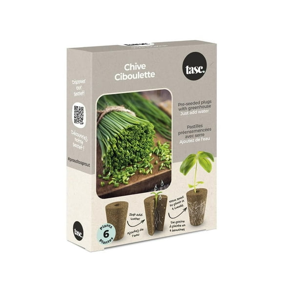 TASC Seed Plugs- Chive (6/PKG)