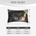 thumbnail image 4 of Zufioo Pilot Cat In Vintage Plane Print Double-sided Plush Pillow Cover,Decorative Pillow Protector without Pillow Core, Suitable for Sofa, Bedroom, Car-20"x30", 4 of 6