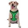thumbnail image 1 of Balery Green Broccoli Arnés para Perros Grandes Antitirones, Arnés con Correa para Gato, Arnés Tipo Chaleco para Perros Pequeños-Large, 1 of 6
