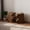 Wood, variant on COSIEST Concrete Side Table, Set of 2 Rectangular Outdoor Side Tables, Decorative Garden Stools for Indoor Outdoor