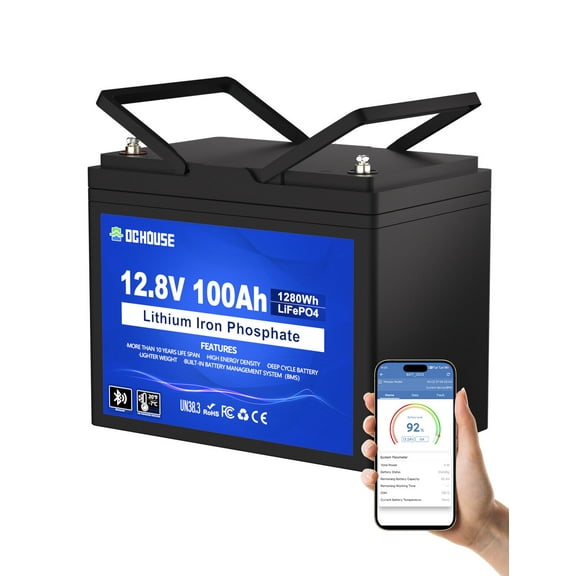 12V 100Ah LiFePO4 Lithium Battery Bluetooth monitoring For RV Solar Marine