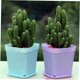 thumbnail image 5 of ELAYARD 24Ud Macetas Jardín Y De Plástico Morado Con Agujeros Para Plantas Decorativas, 5 of 8