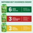 thumbnail image 3 of GoGo squeeZ Applesauce and Fruit Puree, Apple Apple, Apple Banana, and Apple Strawberry Snack Pouches Variety Pack, 3.2 oz, 12 Pack, 3 of 10