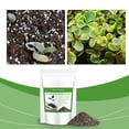 thumbnail image 4 of SharkTRUE Plant Gardening Soil Substrate Loose Breathable Green Universal Plant, 4 of 8