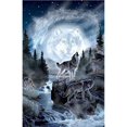 thumbnail image 1 of Toland Home Garden Spirit Wolves Decorative Wilderness/Outdoors House Yard Flag, 28" by 40", 1 of 1
