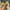 Yellow, variant on LoyisVidion Bowknot Wedge Sandals - Women Bowknot Beach Summer Slippers Platform Slope Heels Plus Size Shoes Memory Foam Indoor Slide Slippers