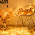 thumbnail image 4 of Billuyoard 100 LED 10m Lámpara de hadas Iluminación estrellada Fiesta de Navidad Decoración de la boda EE. UU. Iluminación navideña No.01 Billuyoard HA003892-01, 4 of 6