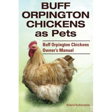 Buff Orpington Chickens as Pets. Buff Orpington Chickens Owner?s Manual.