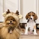 thumbnail image 1 of Disfraz navideño de reno para perros y gatos, capa navideña para cachorros con astas, ropa para mascotas, capa cálida y divertida de Navidad para gato S, 1 of 9