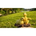 thumbnail image 5 of Playful Ducklings Garden Statue -Yellow, 5 of 5