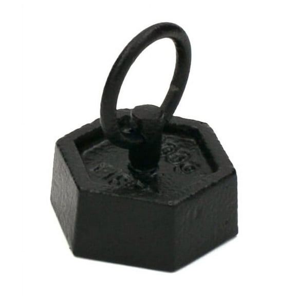Iron Masses - Hexagonal with Lifting Ring - 100g - Eisco Labs
